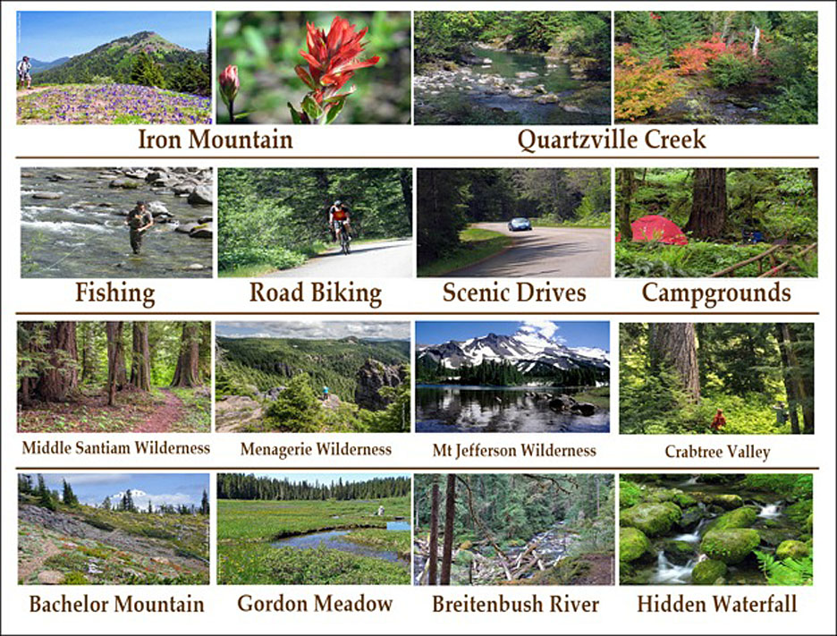 visitor guide photos graphic